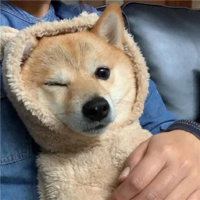 运营总监张晓雅